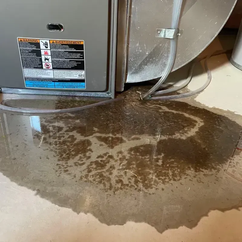 Appliance Leak Cleanup in West Swanzey, NH